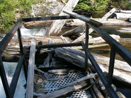 Logs on dam at lake.